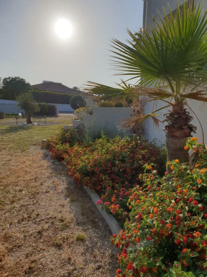 U Stagnu Locations Chambres Corse Borgo  Εξωτερικό φωτογραφία