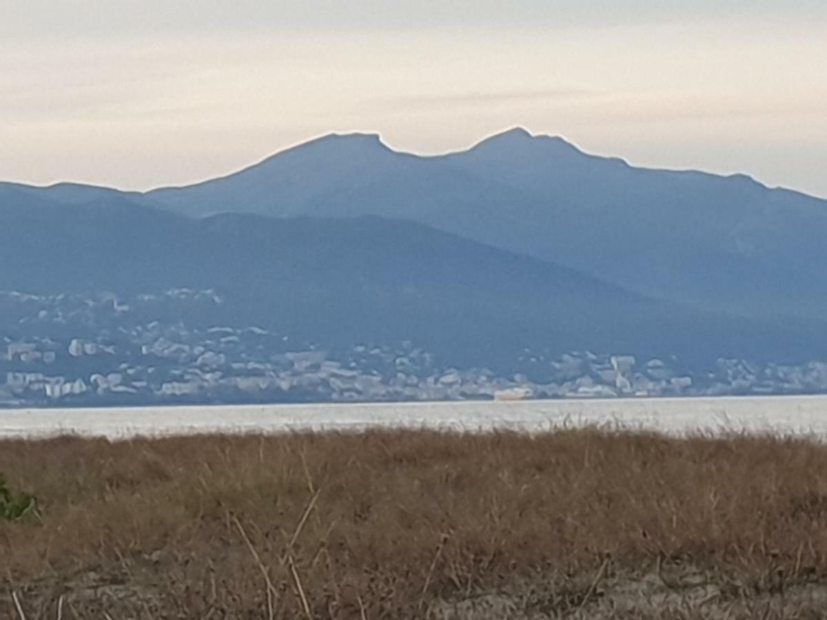 U Stagnu Locations Chambres Corse Borgo  Εξωτερικό φωτογραφία