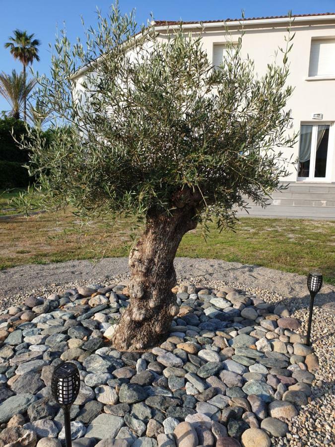 U Stagnu Locations Chambres Corse Borgo  Εξωτερικό φωτογραφία
