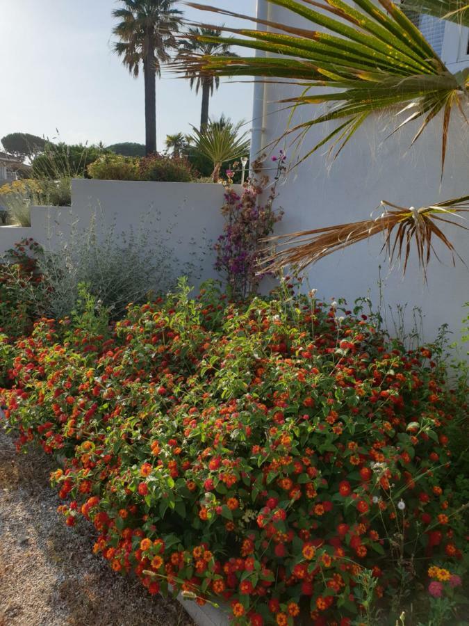 U Stagnu Locations Chambres Corse Borgo  Εξωτερικό φωτογραφία